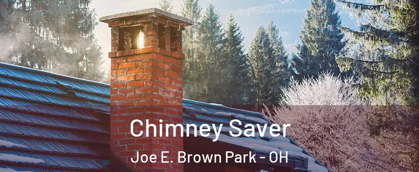 Chimney Saver Joe E. Brown Park - OH