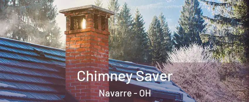 Chimney Saver Navarre - OH
