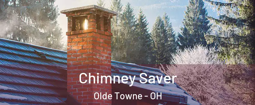 Chimney Saver Olde Towne - OH