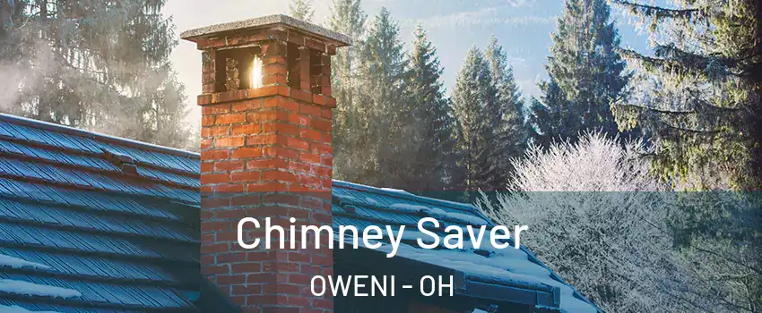 Chimney Saver OWENI - OH