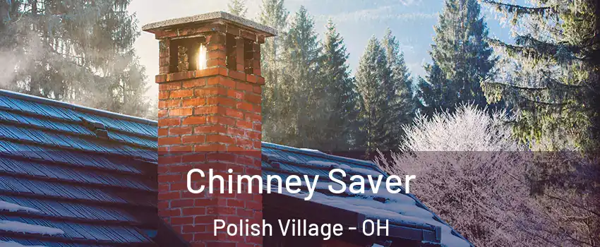 Chimney Saver Polish Village - OH
