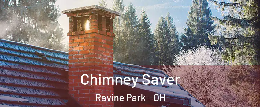 Chimney Saver Ravine Park - OH