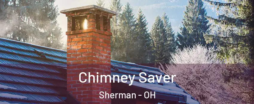 Chimney Saver Sherman - OH