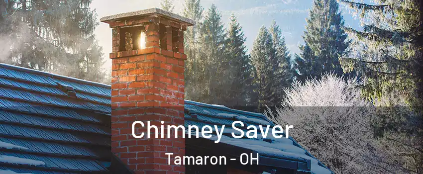 Chimney Saver Tamaron - OH