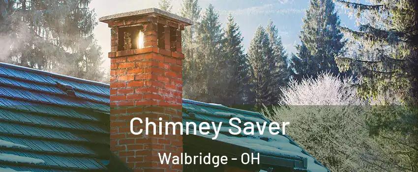Chimney Saver Walbridge - OH