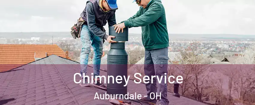 Chimney Service Auburndale - OH