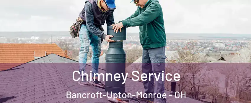 Chimney Service Bancroft-Upton-Monroe - OH