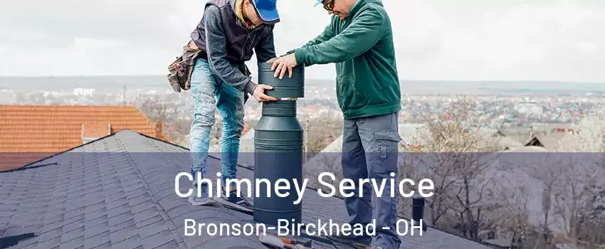 Chimney Service Bronson-Birckhead - OH