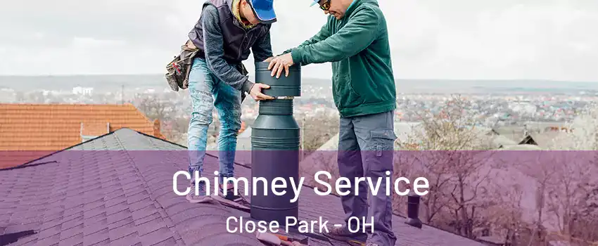 Chimney Service Close Park - OH