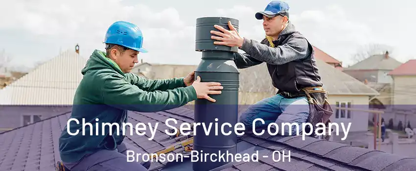 Chimney Service Company Bronson-Birckhead - OH