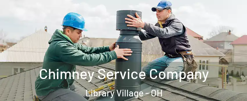 Chimney Service Company Library Village - OH