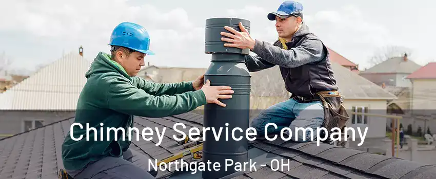 Chimney Service Company Northgate Park - OH
