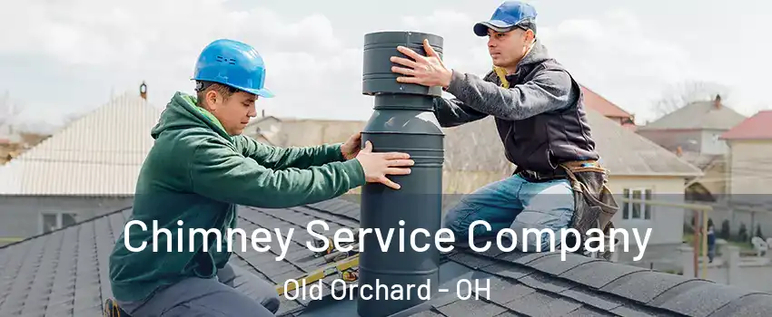 Chimney Service Company Old Orchard - OH