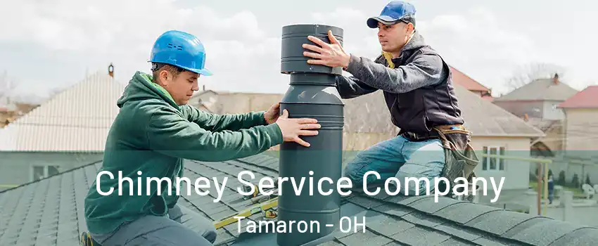 Chimney Service Company Tamaron - OH