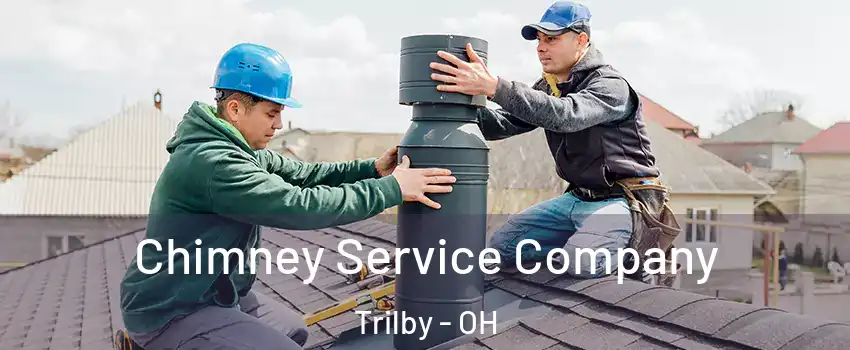Chimney Service Company Trilby - OH