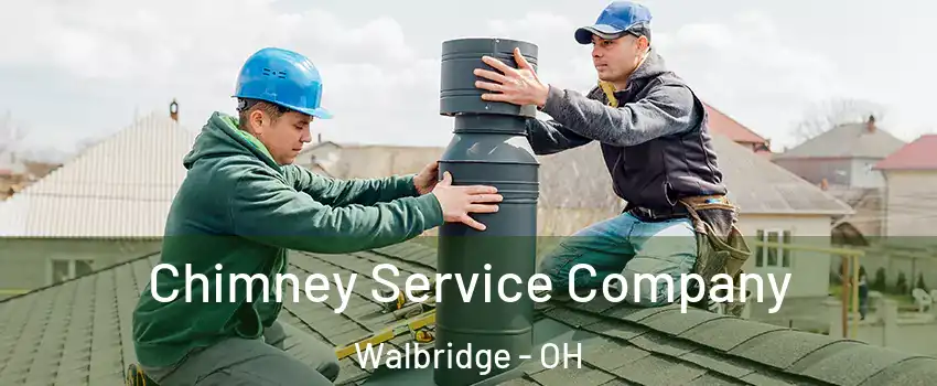 Chimney Service Company Walbridge - OH