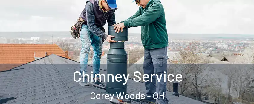 Chimney Service Corey Woods - OH