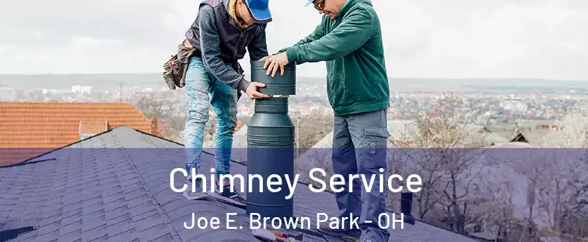 Chimney Service Joe E. Brown Park - OH