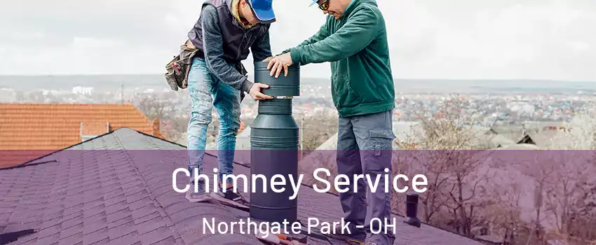 Chimney Service Northgate Park - OH