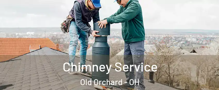 Chimney Service Old Orchard - OH