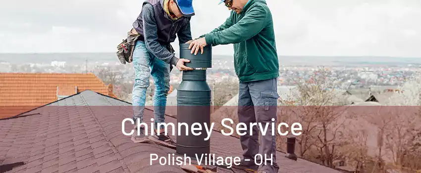 Chimney Service Polish Village - OH
