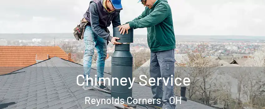 Chimney Service Reynolds Corners - OH