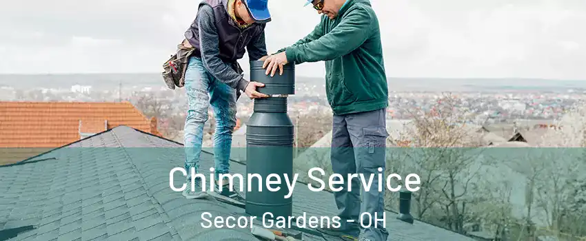 Chimney Service Secor Gardens - OH