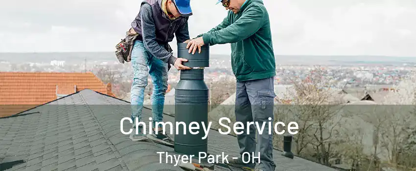 Chimney Service Thyer Park - OH