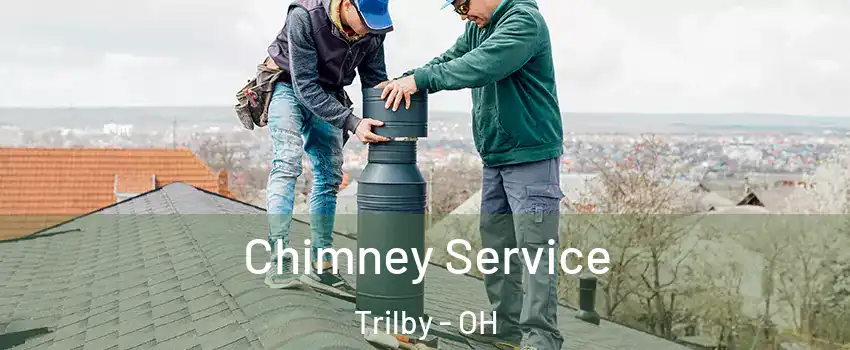 Chimney Service Trilby - OH
