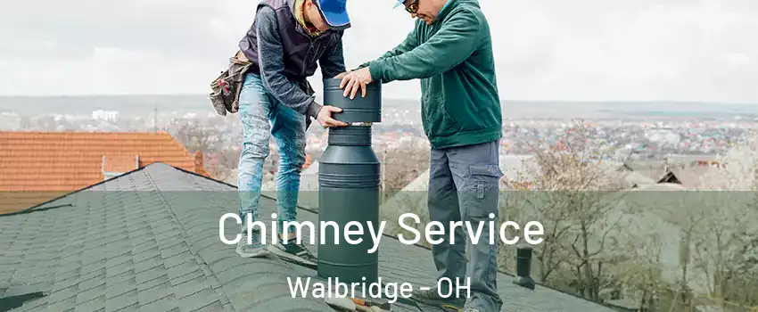 Chimney Service Walbridge - OH