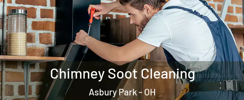 Chimney Soot Cleaning Asbury Park - OH