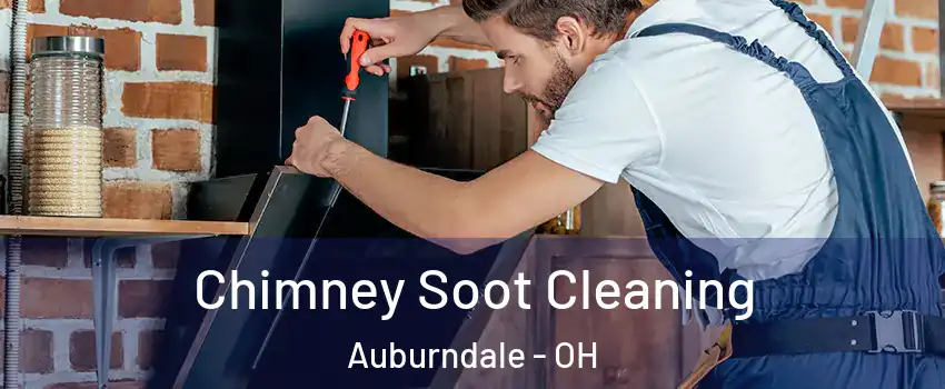 Chimney Soot Cleaning Auburndale - OH