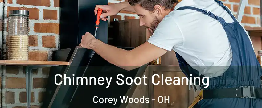 Chimney Soot Cleaning Corey Woods - OH