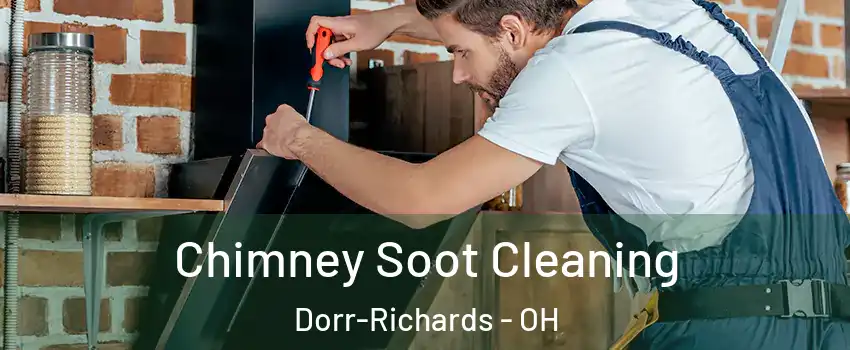 Chimney Soot Cleaning Dorr-Richards - OH