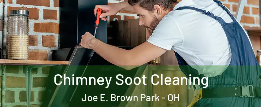 Chimney Soot Cleaning Joe E. Brown Park - OH