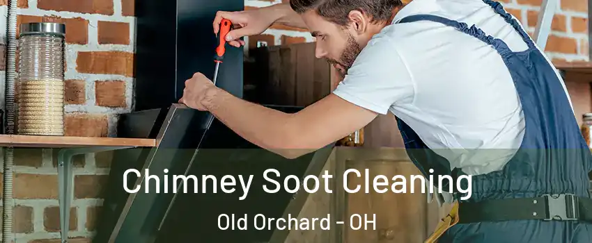 Chimney Soot Cleaning Old Orchard - OH