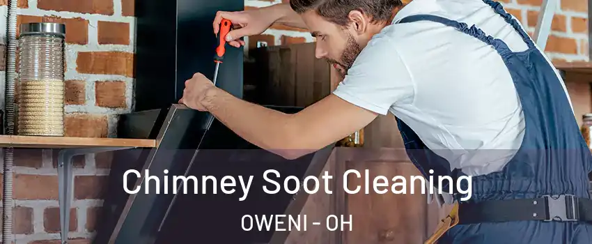 Chimney Soot Cleaning OWENI - OH