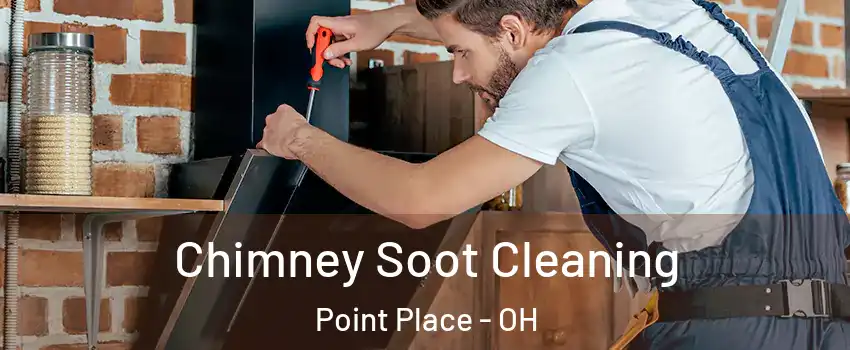 Chimney Soot Cleaning Point Place - OH