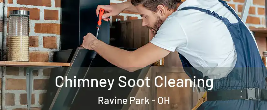 Chimney Soot Cleaning Ravine Park - OH
