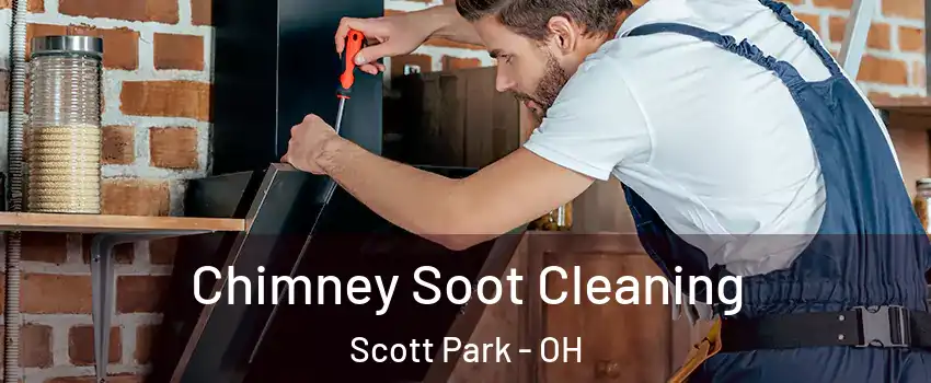Chimney Soot Cleaning Scott Park - OH