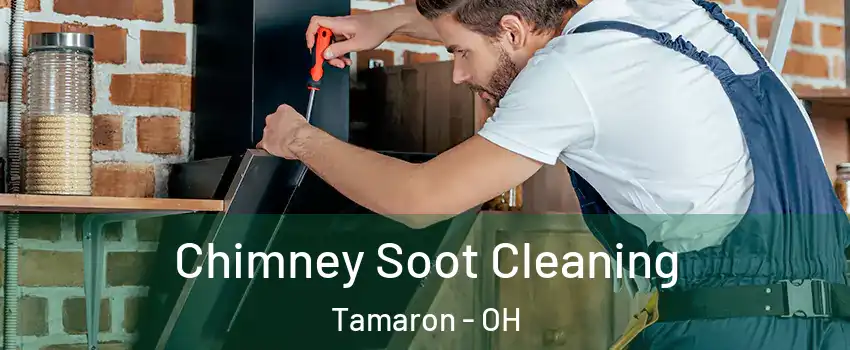 Chimney Soot Cleaning Tamaron - OH