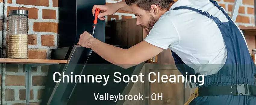 Chimney Soot Cleaning Valleybrook - OH
