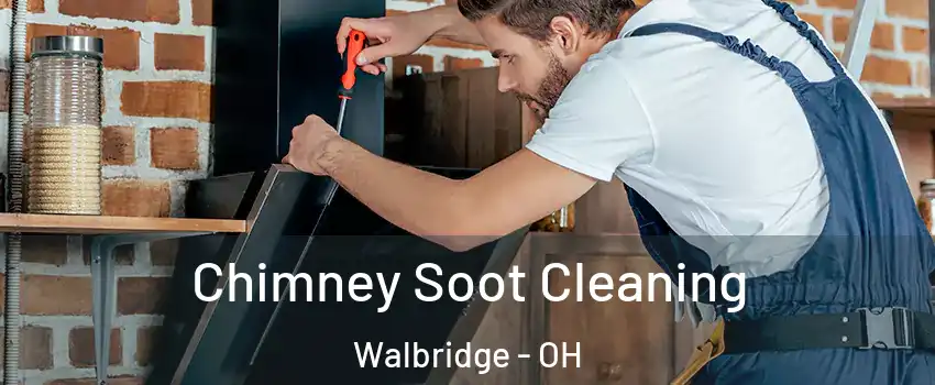 Chimney Soot Cleaning Walbridge - OH