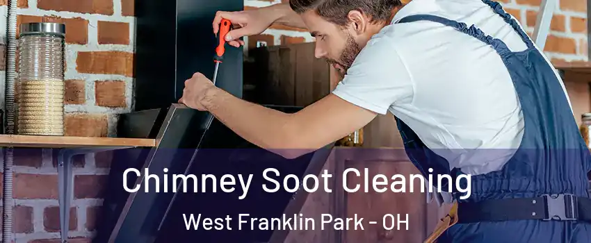 Chimney Soot Cleaning West Franklin Park - OH