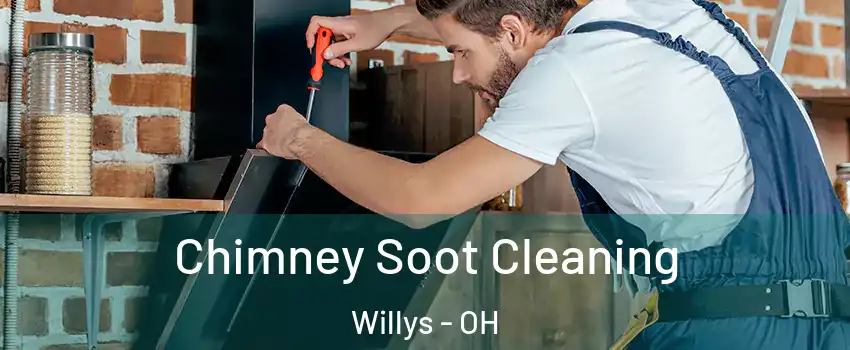 Chimney Soot Cleaning Willys - OH