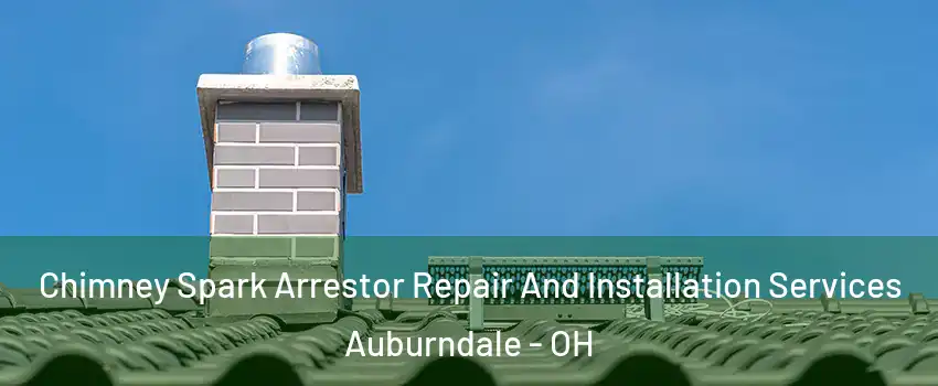 Chimney Spark Arrestor Repair And Installation Services Auburndale - OH