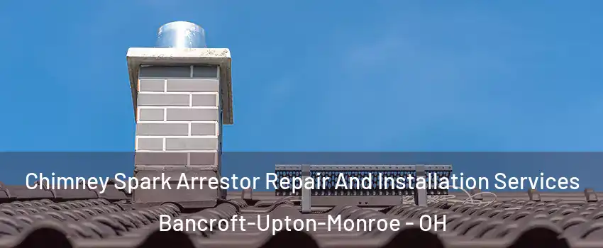 Chimney Spark Arrestor Repair And Installation Services Bancroft-Upton-Monroe - OH