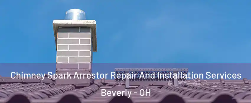 Chimney Spark Arrestor Repair And Installation Services Beverly - OH