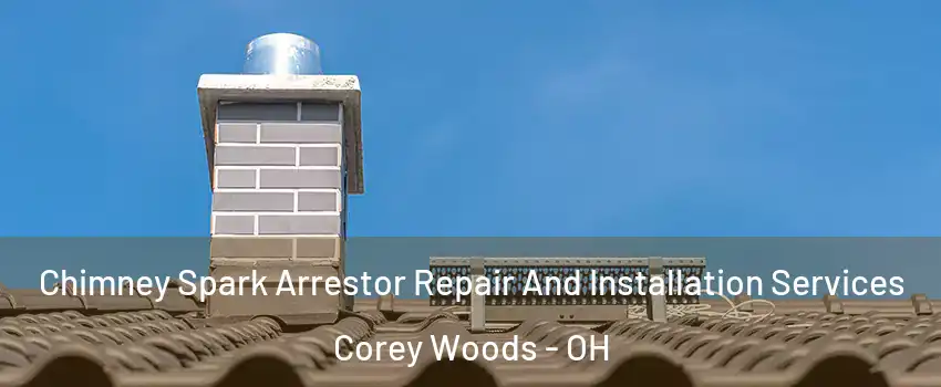 Chimney Spark Arrestor Repair And Installation Services Corey Woods - OH
