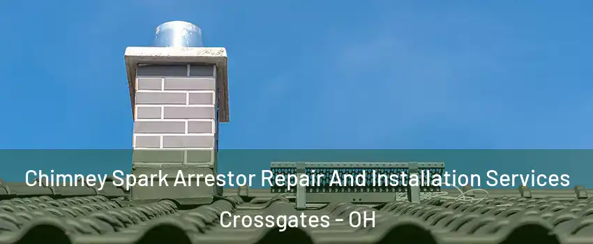 Chimney Spark Arrestor Repair And Installation Services Crossgates - OH